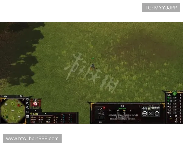 BBIN在线登录流程详解，帮助新手快速掌握登录技巧与注意事项